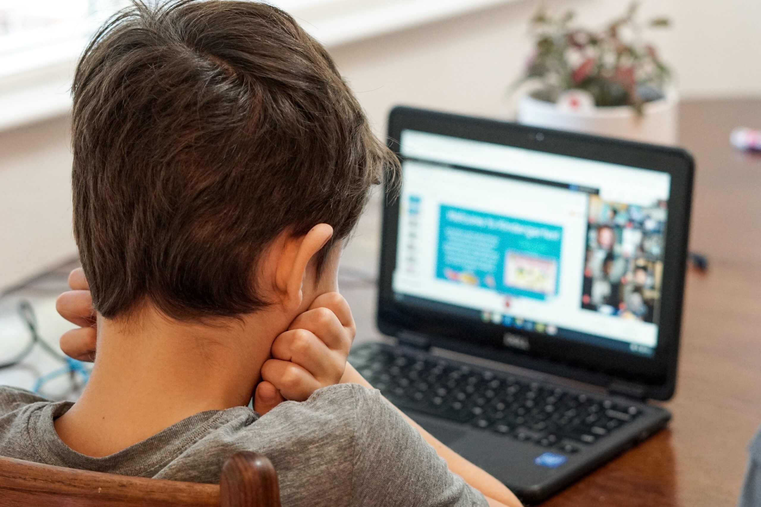Cybersafe Young Children: Going Back to School